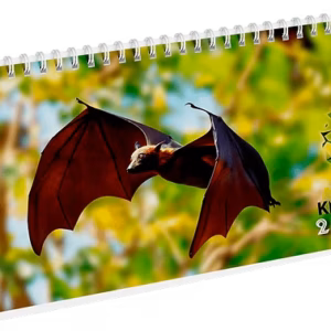 Animal Kingdom Desk (Desk Calendar)