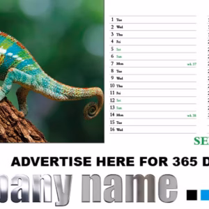 Animal Kingdom Desk (Desk Calendar) - Image 5