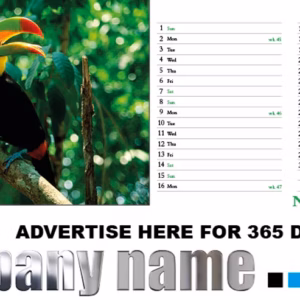 Animal Kingdom Desk (Desk Calendar) - Image 3