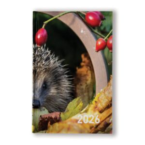 Coverlux Full Colour A5 Desk Diary – White or Cream Paper – Day per Page
